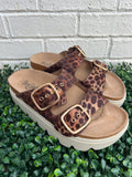 Leopard 2 Rumor Has It Corkys