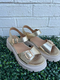 Gold Thats Just Me Corkys- Final/Blowout sale