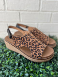 Leopard Combo Volta II Corkys