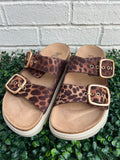 Leopard 2 Rumor Has It Corkys