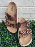 Leopard 2 Rumor Has It Corkys