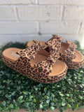 Leopard Lil Bit Knotty Corkys