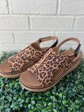 Leopard Combo Volta II Corkys
